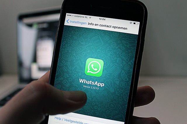 Bulk Marketing with WhatsApp