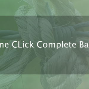 One Click Complete Backups By Maida Themes (acquired by xpertcodes)
